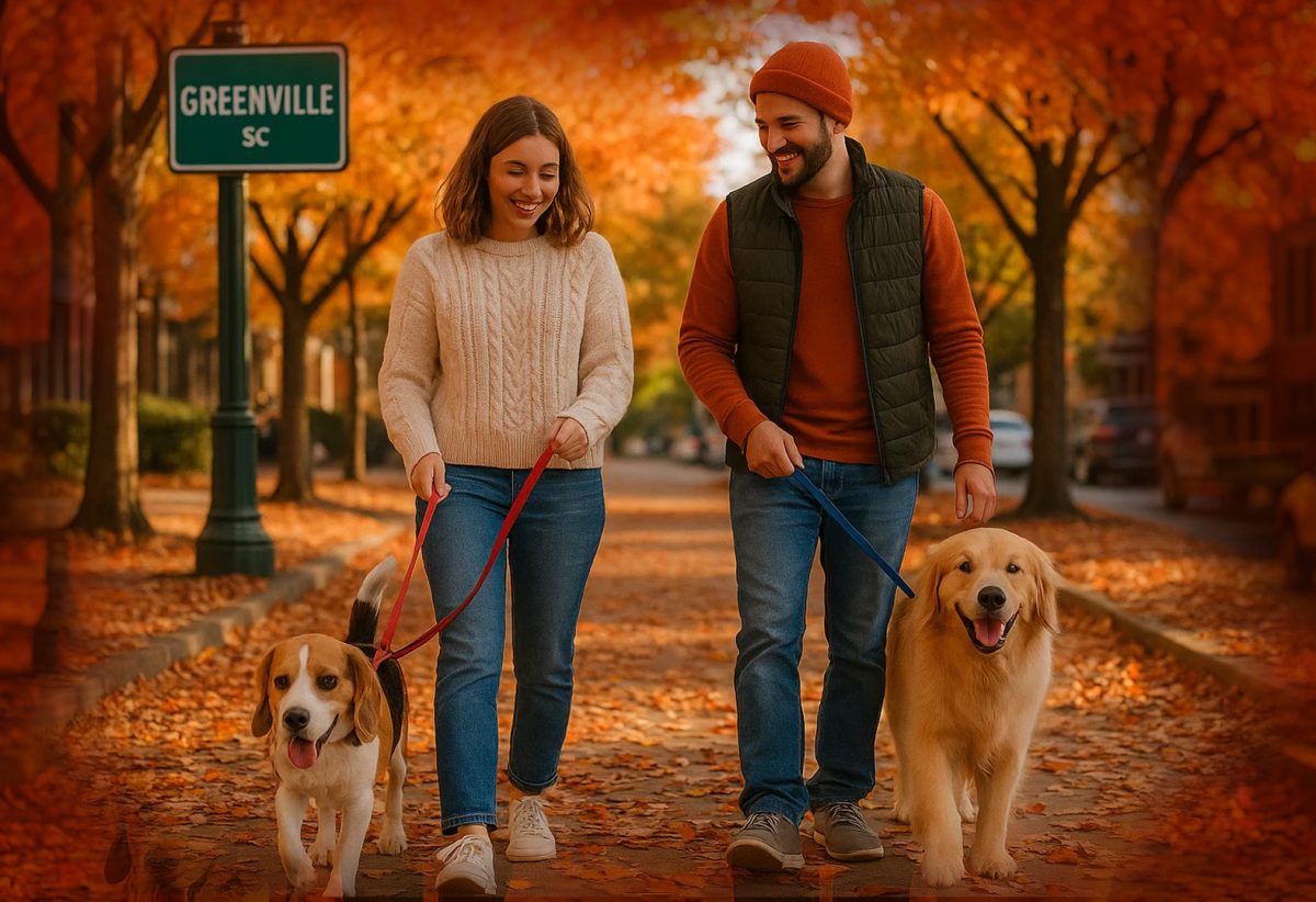 autumn in greenville